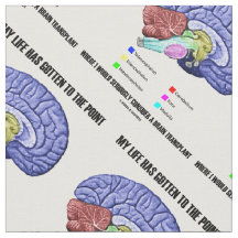 Ma Vie Est Passée À Point Considérer La Transplant