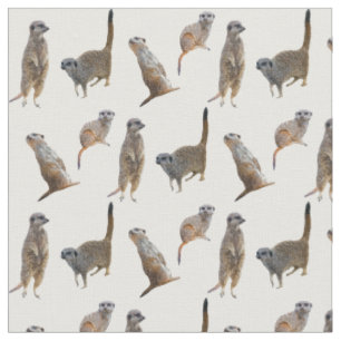 Tissu Meerkat Frenzy Fabric (choisir la couleur)