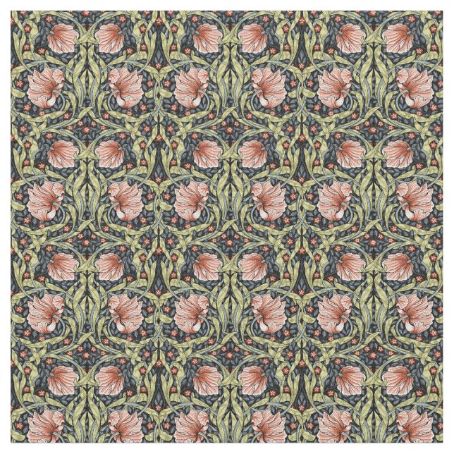 tissu modèle (Fermer)