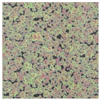 Tissu Moss de fée - V2