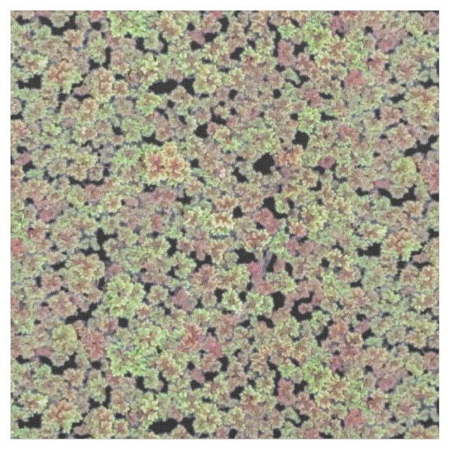 Tissu Moss de fée - V2 (Fermer)