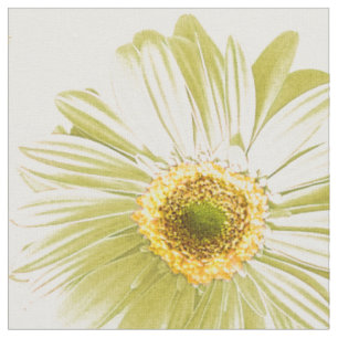 Tissu Motif de marguerite blanche