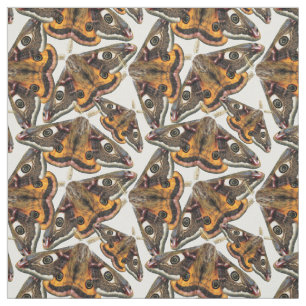 Tissu Motif de mite