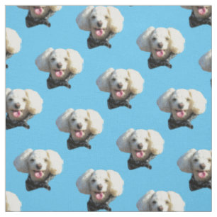 Tissu Motif photo personnalisé Chien Chien Chien Chien C