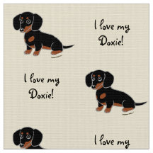 Noir et teckel lisse bronzage