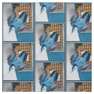 Tissu Nuthatch à poitrine blanche en neige - Photo origi