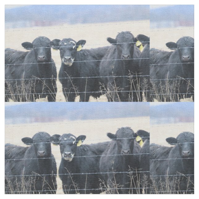 Tissu Observateurs de Bovine (Fermer)