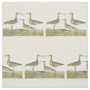 Tissu Oiseaux de marais Courlis Oiseaux