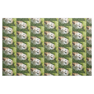 TISSU OWLS