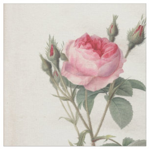 Tissu Pâlissez - les roses vintages roses peignant le