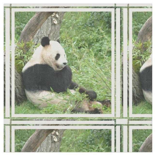 Tissu panda-4.jpg (Fermer)