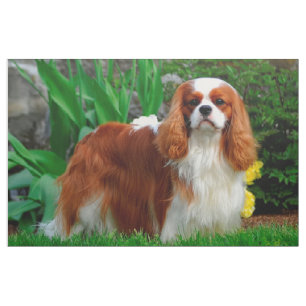 Tissu Panneaux de chiens Blenheim Cavalier King Charles