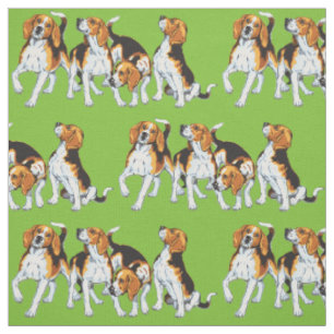 Tissu Pansements beagles