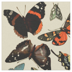 Tissu Papillons d'insectes Vintages sur arrière - plan b