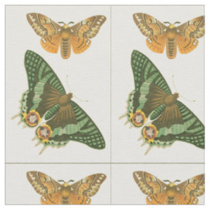 Tissu Peinture légèrement encadrée de papillon