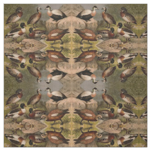 Tissu Peinture vintage colorée des canards