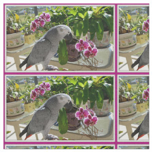 Tissu Perroquet de gris africain avec des orchidées