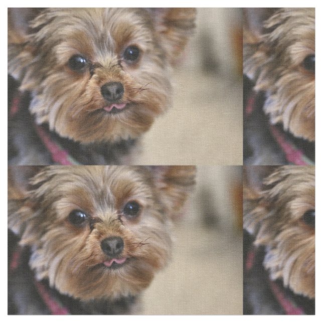 Tissu Pfft ! (Fermer)