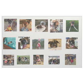 Tissu PICS de chien