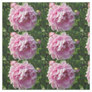 Tissu Pink Peony photo cottage ferme jardin fleuri