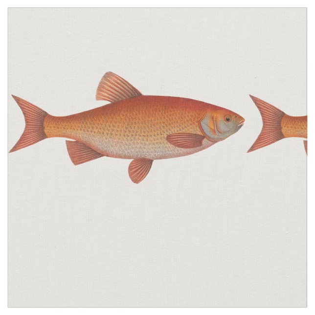 Tissu Poisson d'or vintage (Fermer)