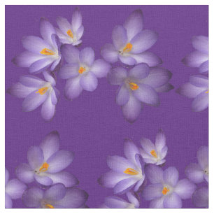 Tissu pourpre de fleur de crocus de ressort