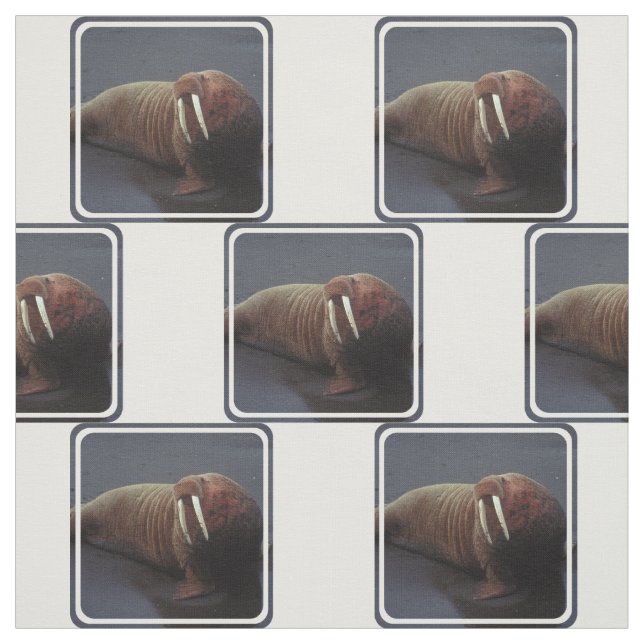 Tissu Produit de personnaliser (Échantillon)