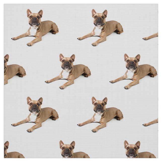 Tissu Puppie (Échantillon)