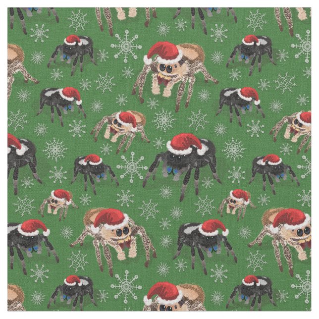 Tissu Regal Jumping Spider Phiddipus Regius Holiday Moss (Fermer)