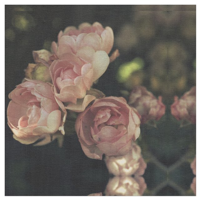 Tissu Roses (Fermer)