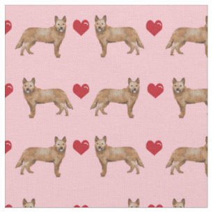 Tissu rougeur de chien de race australienne aime les coe