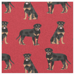 Tissu rougeur de chien de rottweiler