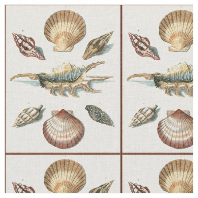 Tissu Shell de fantaisie échouent (Fermer)