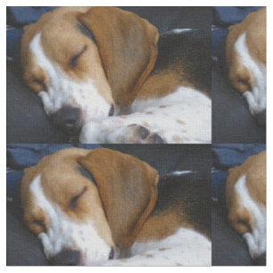 Tissu sommeil de beagle