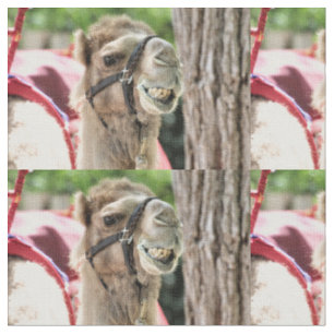 Tissu Sourire