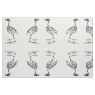 Tissu Squelette vintage de bébé oiseau gravure