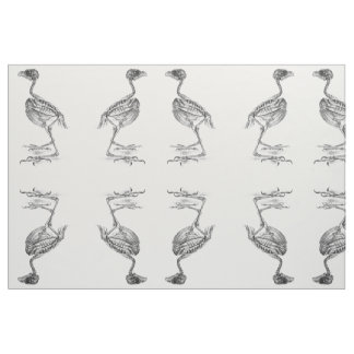 Tissu Squelette vintage de bébé oiseau gravure