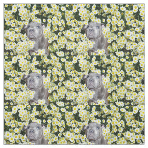 Tissu Staffordshire Bull Terrier Et Daisées,