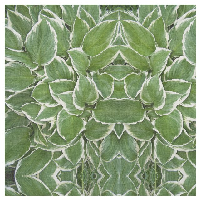 Tissu Structure d'image miroir des Feuilles Hosta (Fermer)