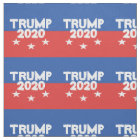 Structure TRUMP 2020