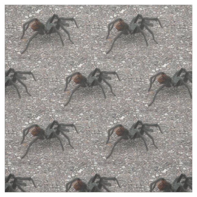 Tissu Tarentule (Échantillon)