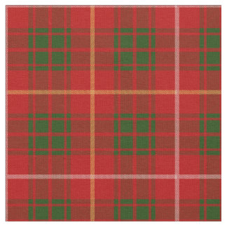 Tissu Tartan écossais de clan de Bruce