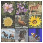 Télécharger votre photo