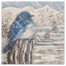 Tempête d'hiver Bluebird