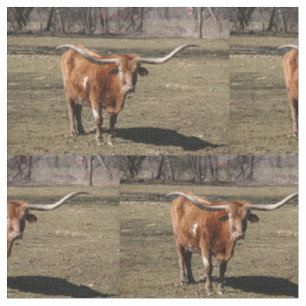 Tissu Texas Long Horns!