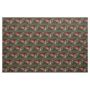 Tissu torse masculin six pack ventre nu de SlipperyJoe