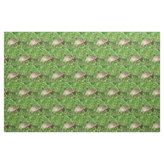 Tissu Tortue (Fat Quarter)