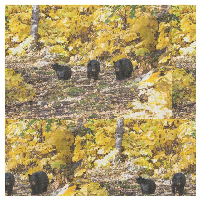 Tissu Trois ours (Fermer)