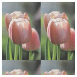 Tissu Tulipe rose