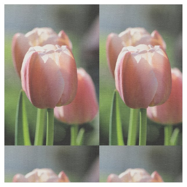 Tissu Tulipe rose (Fermer)